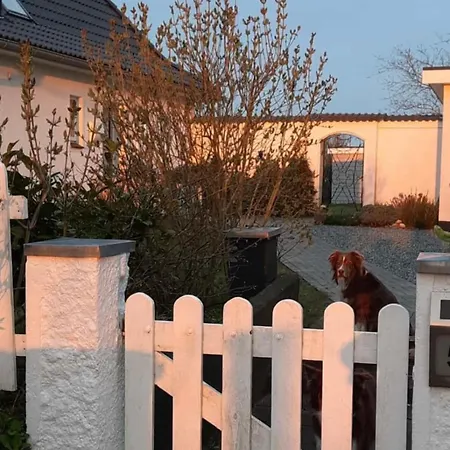 Nordseeblick * Wobbenbull